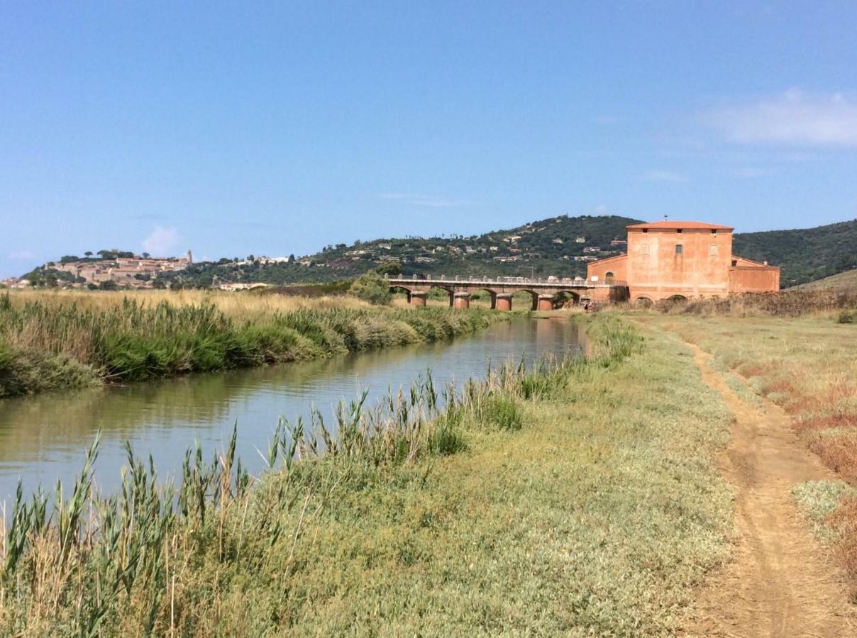 Direttamente Sulla Spiaggia Castiglione della Pescaia Bagian luar foto